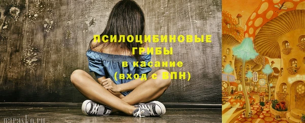 тгк Аркадак