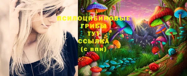тгк Аркадак