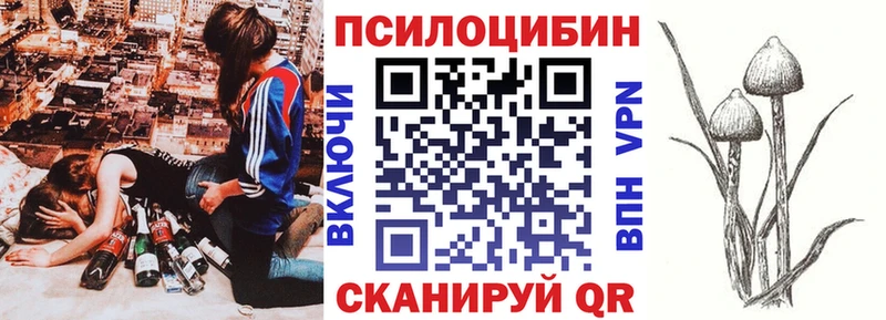 Псилоцибиновые грибы Cubensis  Кашин 